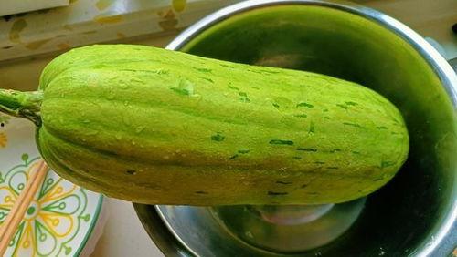 九月吃瓜视频,盘点热门吃瓜视频