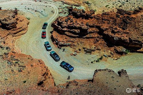 吃瓜大师猛禽峡谷,吃瓜大师的探险之旅揭秘