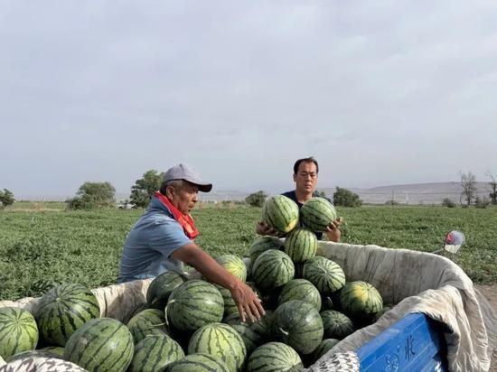 胪岗吃瓜,揭秘当地特色美食背后的故事