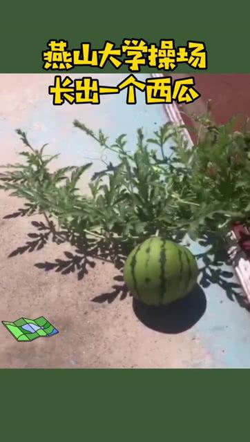 留学吃瓜学校,揭秘各国高校的“美食江湖”