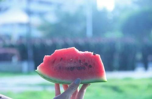 吃瓜的奇妙世界,揭秘吃瓜群众的奇妙食界之旅