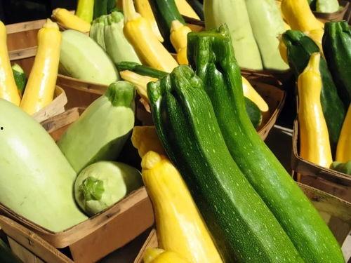 夏季吃的甜蜜瓜是什么瓜,夏日甜蜜瓜品鉴指南