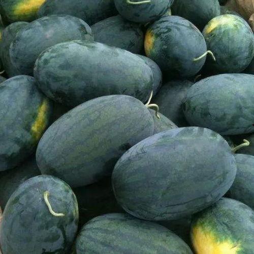 制造吃瓜,揭秘现代制造吃瓜的奇妙之旅