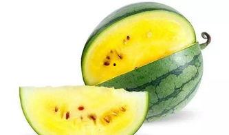 吃瓜工具哪个最好,哪个才是你的夏日必备神器?