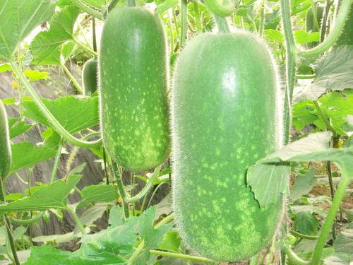 667吃瓜网,揭秘娱乐圈最新热点,带你畅游八卦海洋